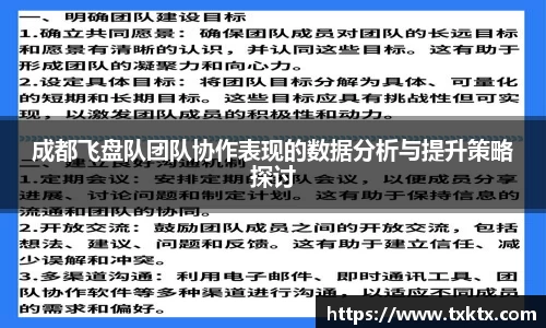 成都飞盘队团队协作表现的数据分析与提升策略探讨
