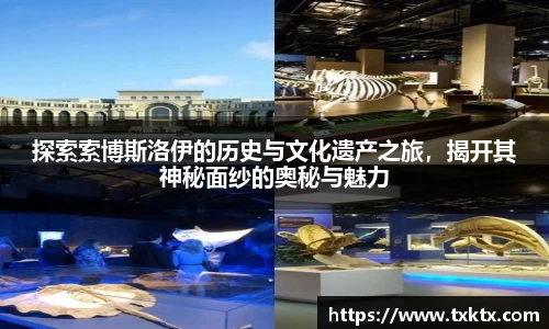 探索索博斯洛伊的历史与文化遗产之旅，揭开其神秘面纱的奥秘与魅力
